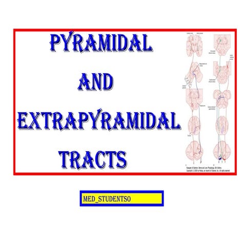 pyramidal tract. power point presentation