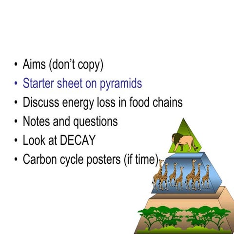 Pyramids of biomass, energy loss | PPT
