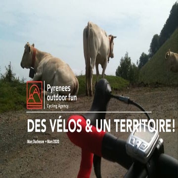 Pyrenees Outdoor Fun