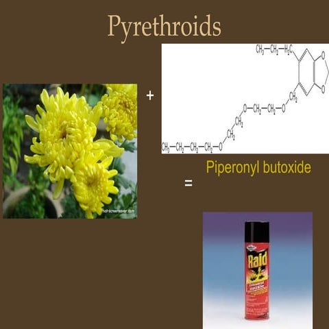 Pyrethroids
