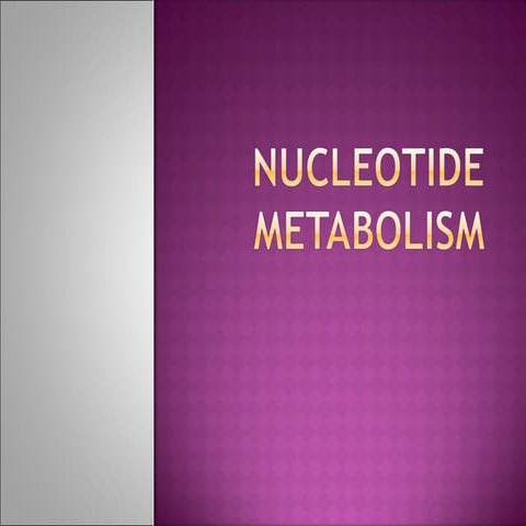 Pyrimidine metabolism