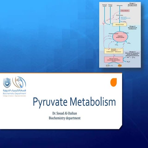 pyruvate_metabolism1_kmlkmfksclslald.ppt