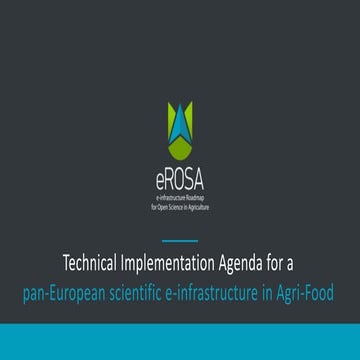 Technical Implementation Agenda for a pan-European Scientific e-infrastructur...