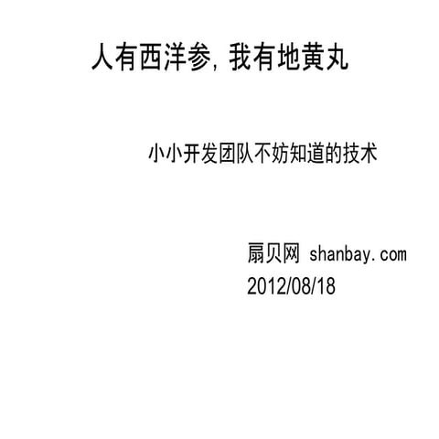 Python小团队不妨知道的技术