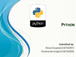 Python Seminar PPT