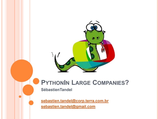 Python For Large Company?