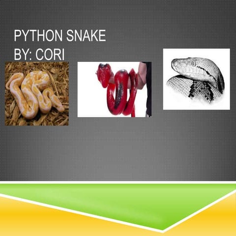 Python 9 | PPT