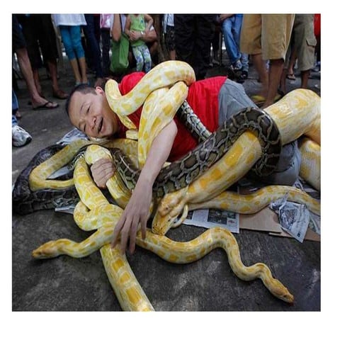 Python Programlamaya Giriş