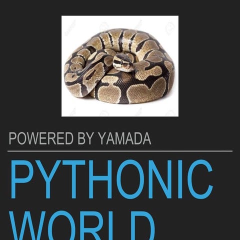 Pythonic world