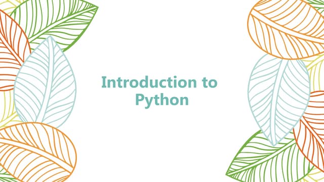Python Prgramming basics for Beginnerss for User friendly interface