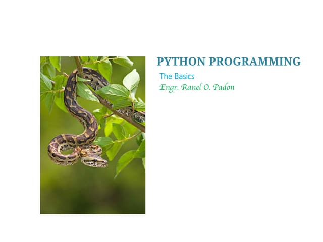 Python Programming - II. The Basics | PPT