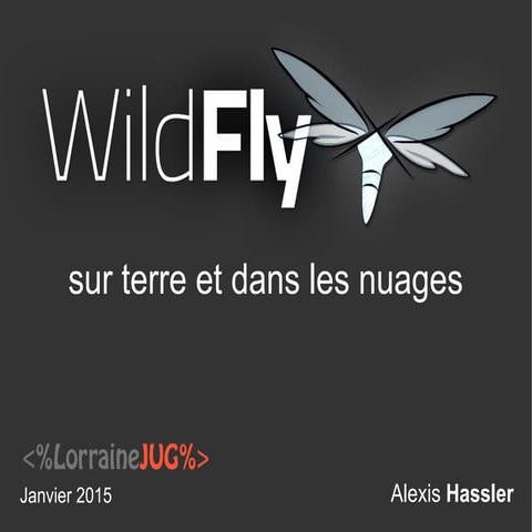 LorraineJUG - WildFly