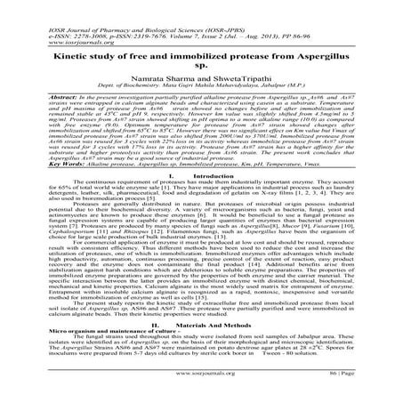 Kinetic study of free and immobilized protease from Aspergillus sp.