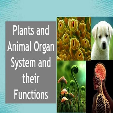 q1c1l1animalandplantorgansystemsandtheirfunctions2-230216080806-387403c1.pptx