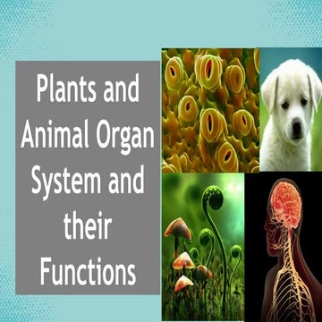 q1c1l1animalandplantorgansystemsandtheirfunctions2-230216080806-387403c1.pptx