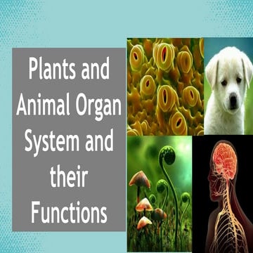 Q1C1L1 Animal and Plant Organ Systems and their Functions (2).pptx