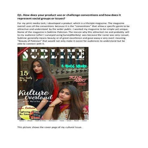 media studies project.pdf