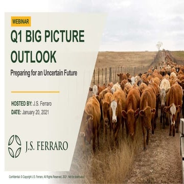 J.S. Ferraro Q1 2021 Big Picture Market Outlook Webinar