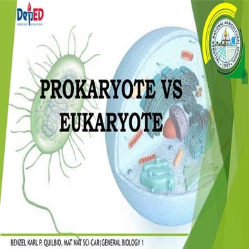 Differentiating Prokaryotes and Eukaryotes | PPTX