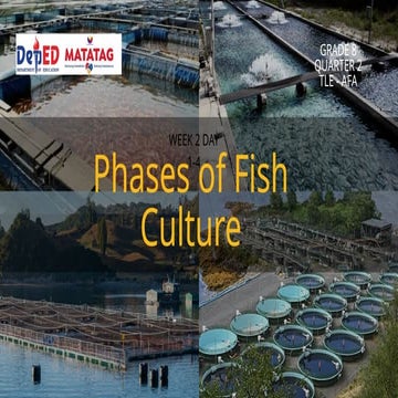 PHASES OF FISH CULTURE TLE 8 QUARTER 2.pptx
