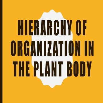 Q2 l7-hierarchy of organization in the plant body