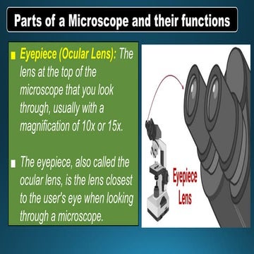 Q2-SCIENCE 7-LC1                   .pptx