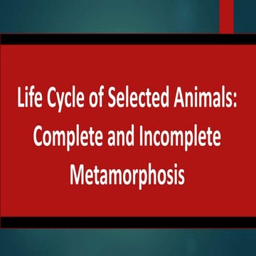 Q2-Week4- Life Cycle of Organisms.pptx