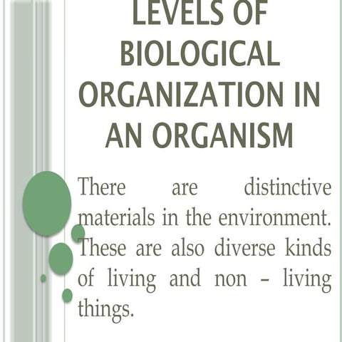 Q2L2 - Levels Of Biological Organization In An Organism.pptx