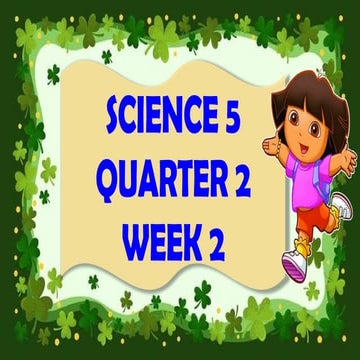 Respiraory System-----------------------