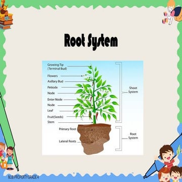 Q2 W54444444444444444444444444444444444444.pptx