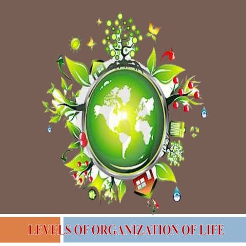 Q2 week 3--levels-of-organization