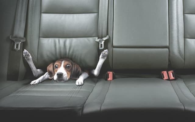Code securely