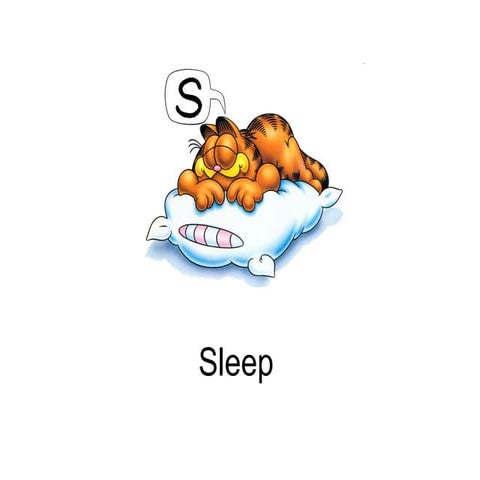 Q3L10 - Sleep