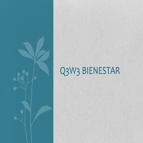 Q3 w3 bienestar