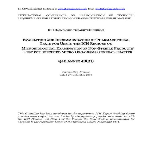 Q4 b annex4b r1_ step4