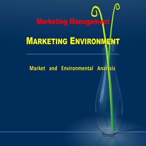 Marketing Environment