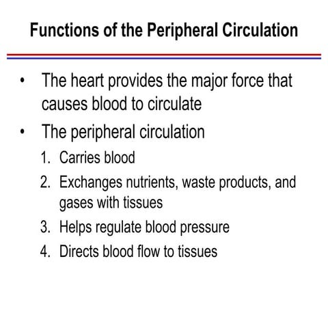 Blood_vessels.ppt
