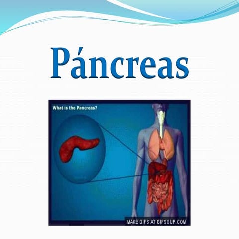 Páncreas t3