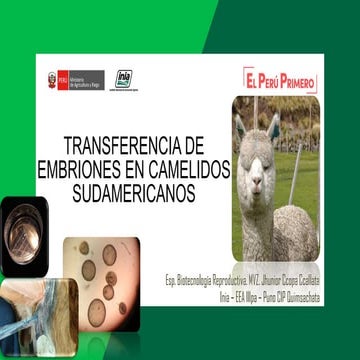 PRESENTACION_TRANSFRENIA DE EMBRIONES _2019_MANAZO.pdf
