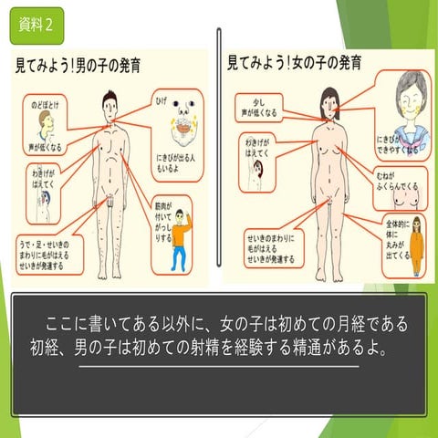 資料2 第2次性徴の男女の違い | PPT