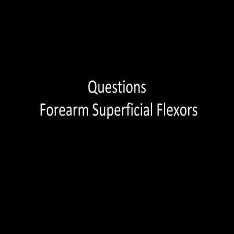 Exam Questions Forearm Superficial Flexors