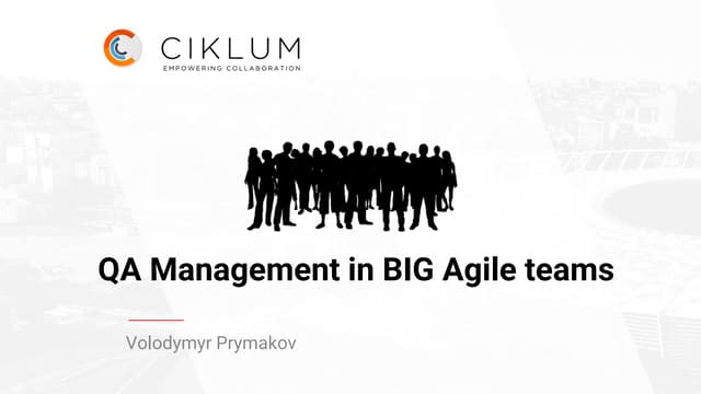 Qa management in big agile teams