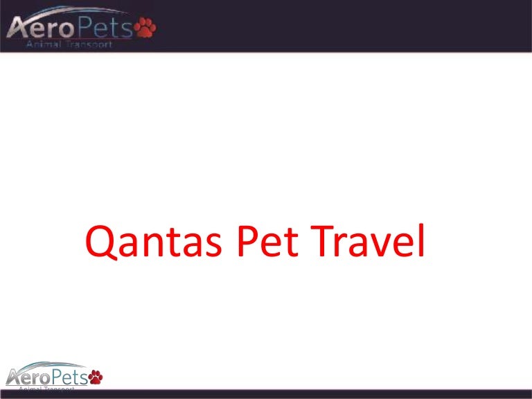 qantas pet travel international