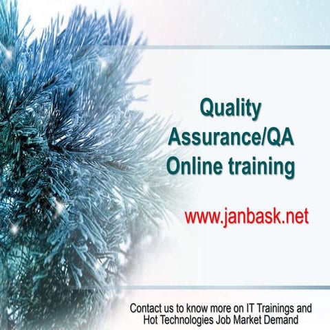 QA online training