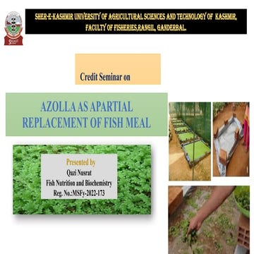 Azolla as a partial replacement of fish meal. | PPTX