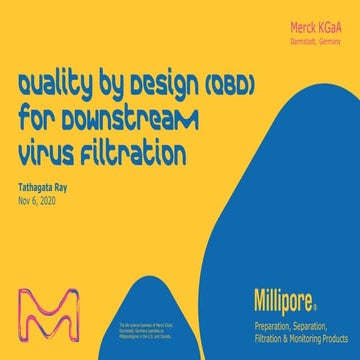 QBD for Downstream Virus Filtration