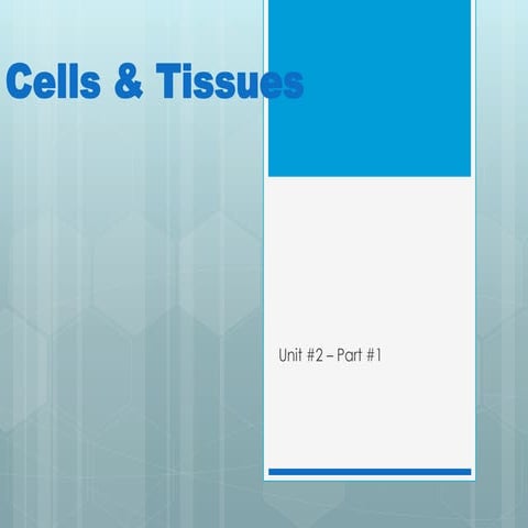 A&P Cells & Tissues Unit # 2