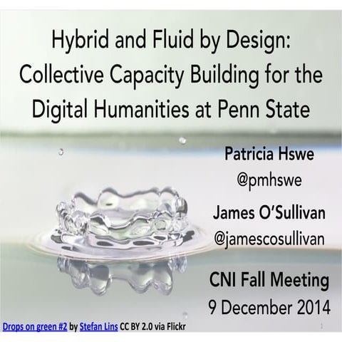 Hybrid and Fluid by Design: Collective Capacity Building for the Digital Huma...