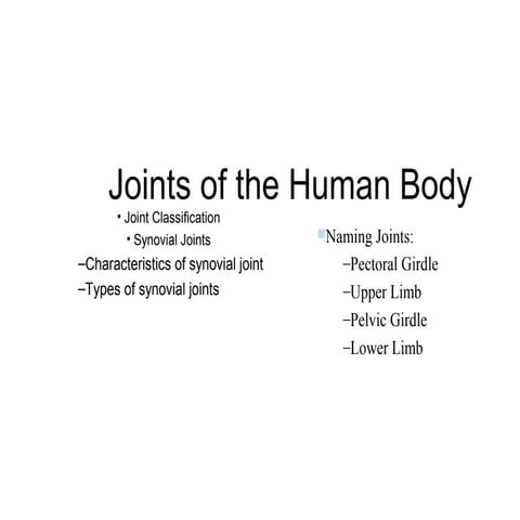 Joints of the human body