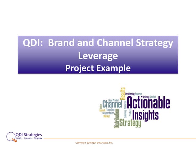 QDI Strategies: Brand and Channel S...